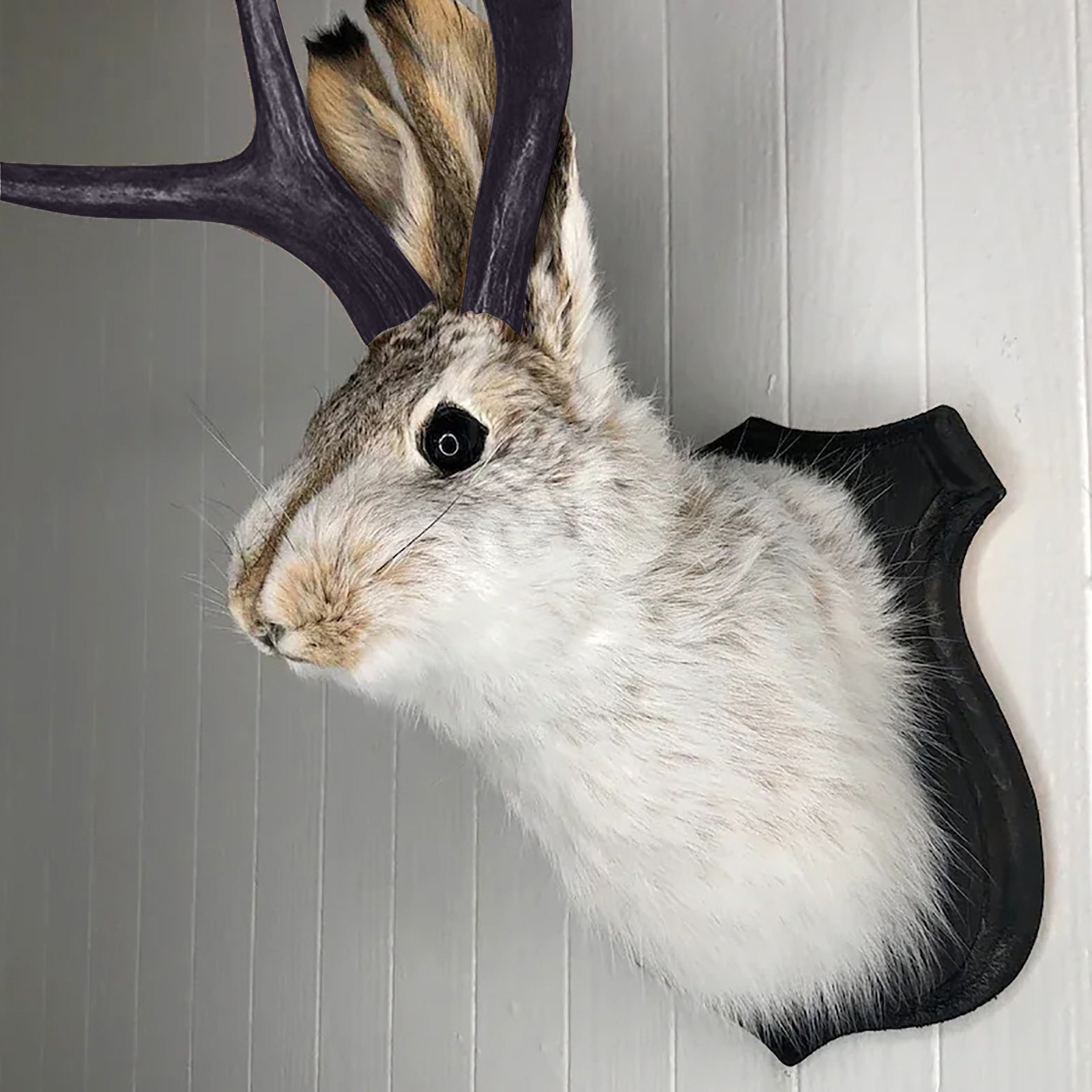 Resin Art Hanging - Easter Gift Bunny Head Antlers Wall