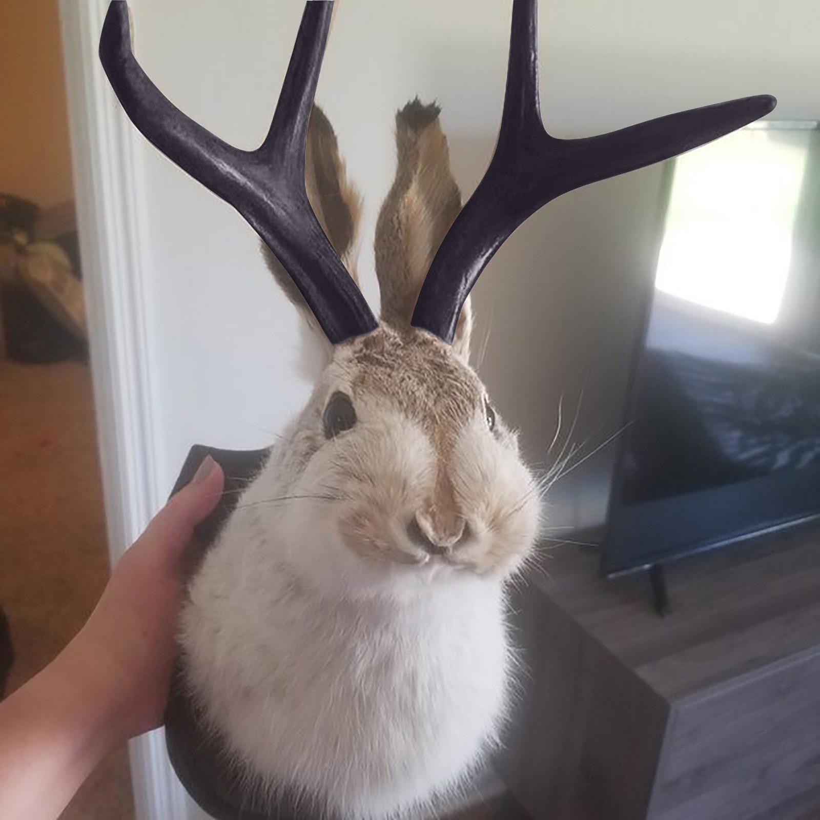 Easter Gift Bunny Head Antlers - Resin Art Hanging recension och pris